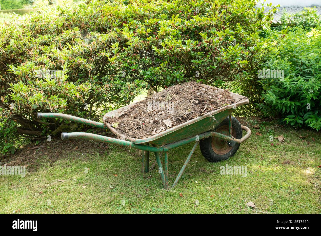 Schubkarre mit Erde oder Kompost auf einem Garten gefüllt. Gartengeräte Stockfoto