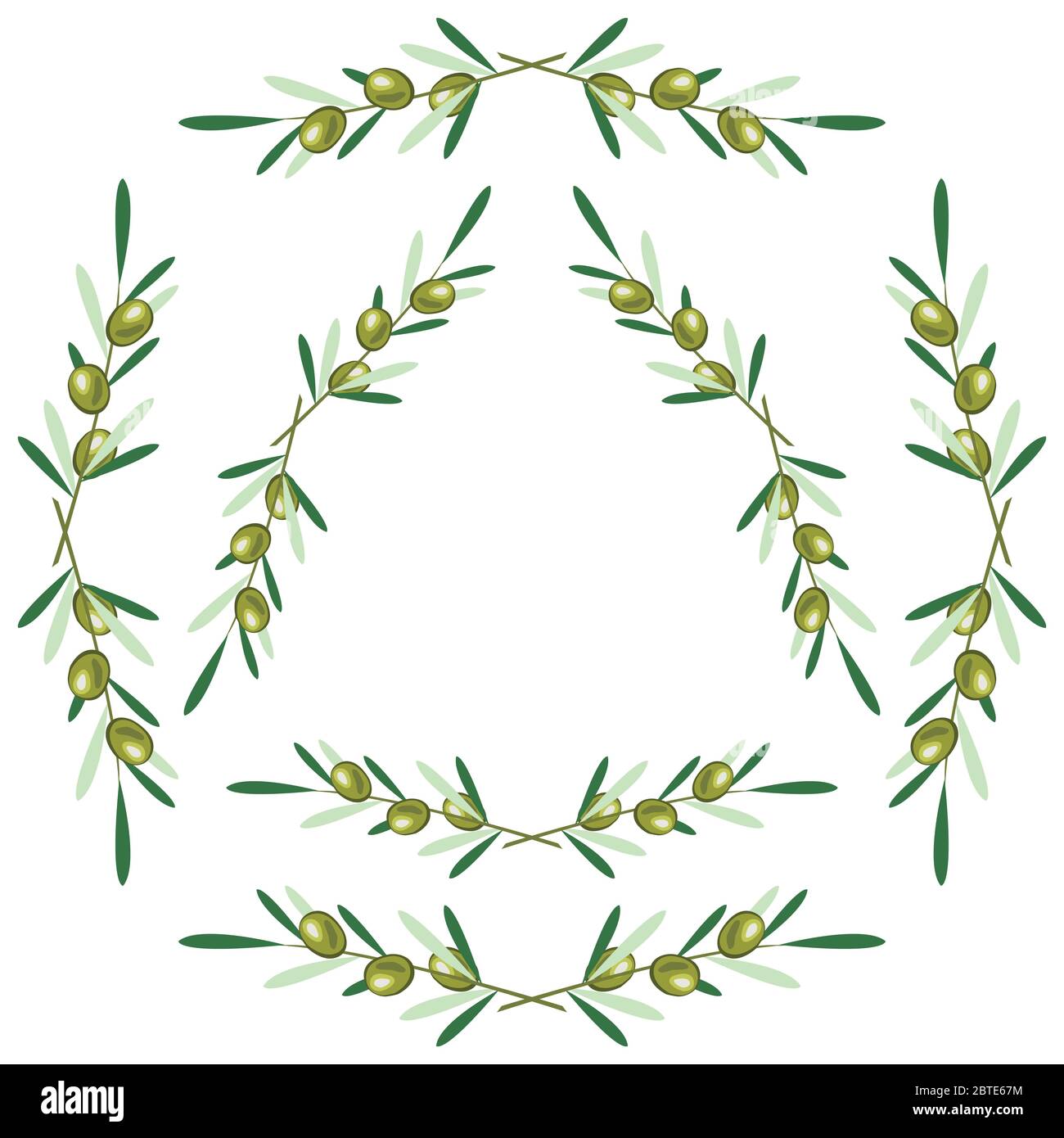 Set von runden Rahmen - Olivenzweige. Weißer Hintergrund Stock Vektor
