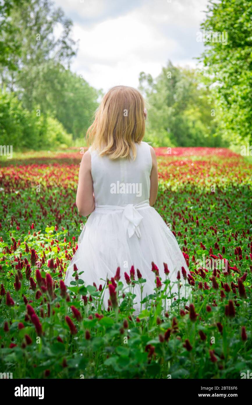 Schönes Mädchen mit weißem Kleid in einem Kleeblatt Feld Stockfoto