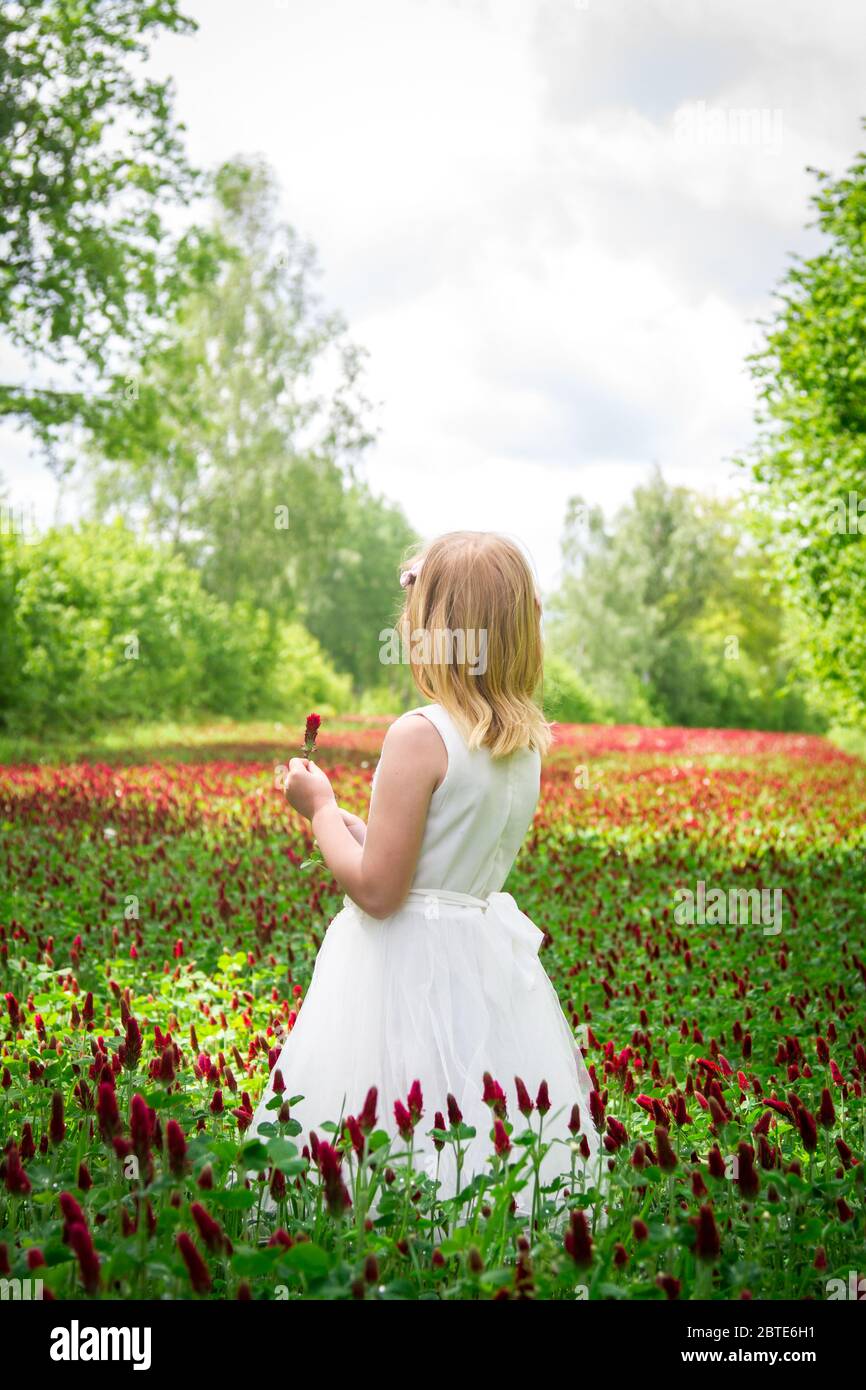 Schönes Mädchen mit weißem Kleid in einem Kleeblatt Feld Stockfoto