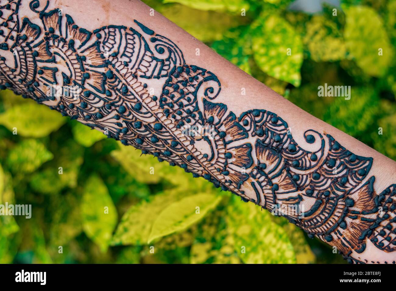 Hände von Frau mit detailreichen Henna Design-Kunst Stockfoto