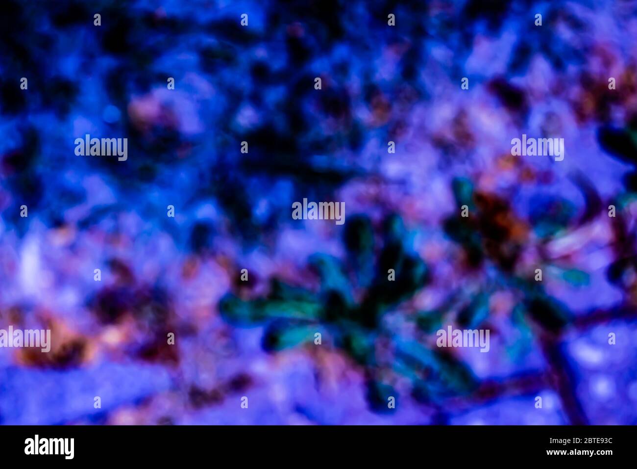 Blaue und lila unscharfe Hintergrundstruktur Stockfoto