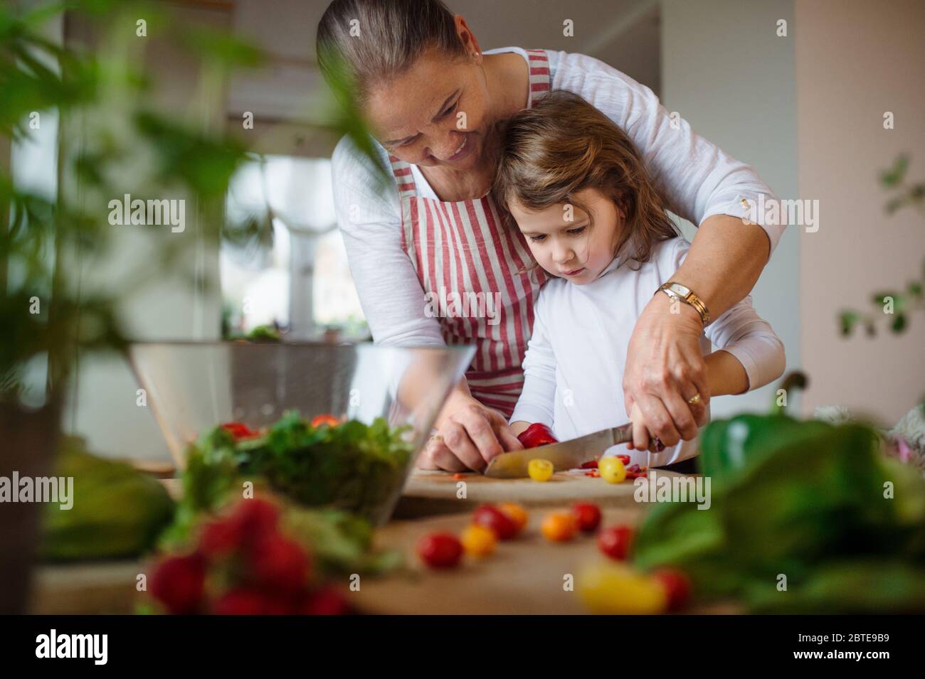 Kleines Mädchen mit älterer Großmutter in der Küche zuhause, Tomaten schneiden. Stockfoto