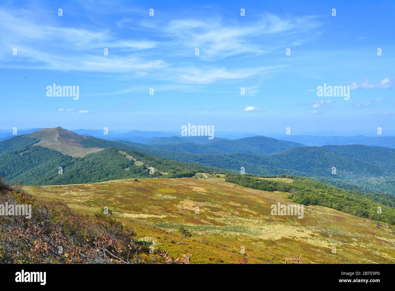 Polnische Berge Nationalpark Bieszczady, Polonina Welinska in Polen. Karpaten Stockfoto