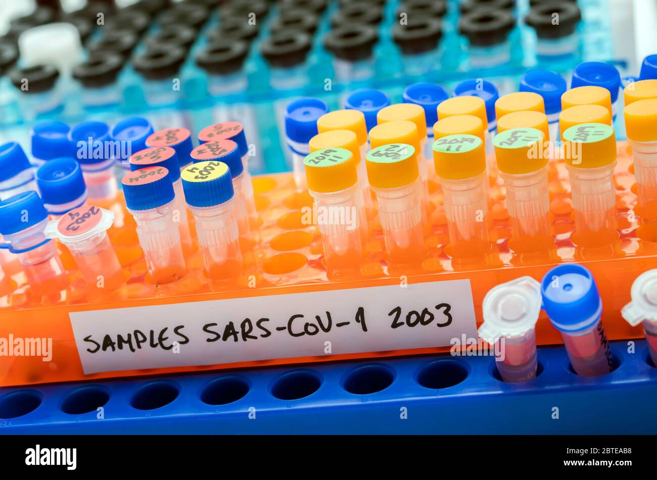 Fläschchen mit Proben von SARS-COV-1 in einem Forschungslabor, konzeptionelles Bild Stockfoto