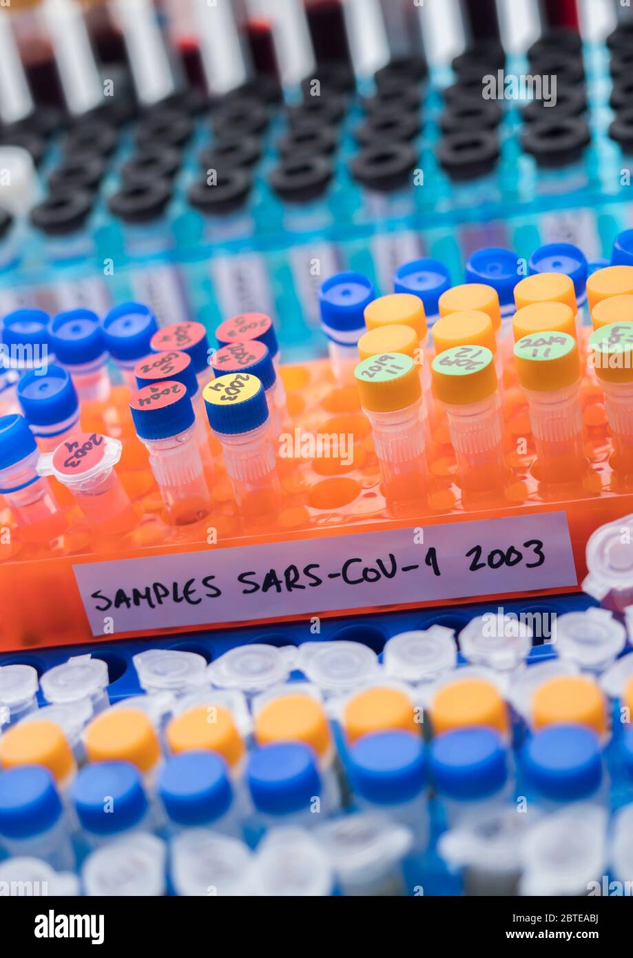 Fläschchen mit Proben von SARS-COV-1 Covid-19 in einem Forschungslabor, konzeptionelles Bild Stockfoto