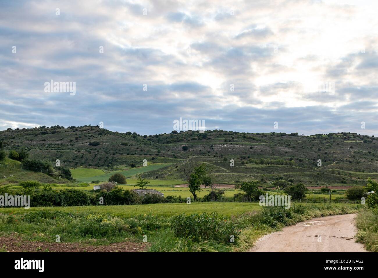 Schöne Landschaft in La Alcarria, Guadalajara, Spanien. Pfad zwischen kultivierten Feldern.. Stockfoto