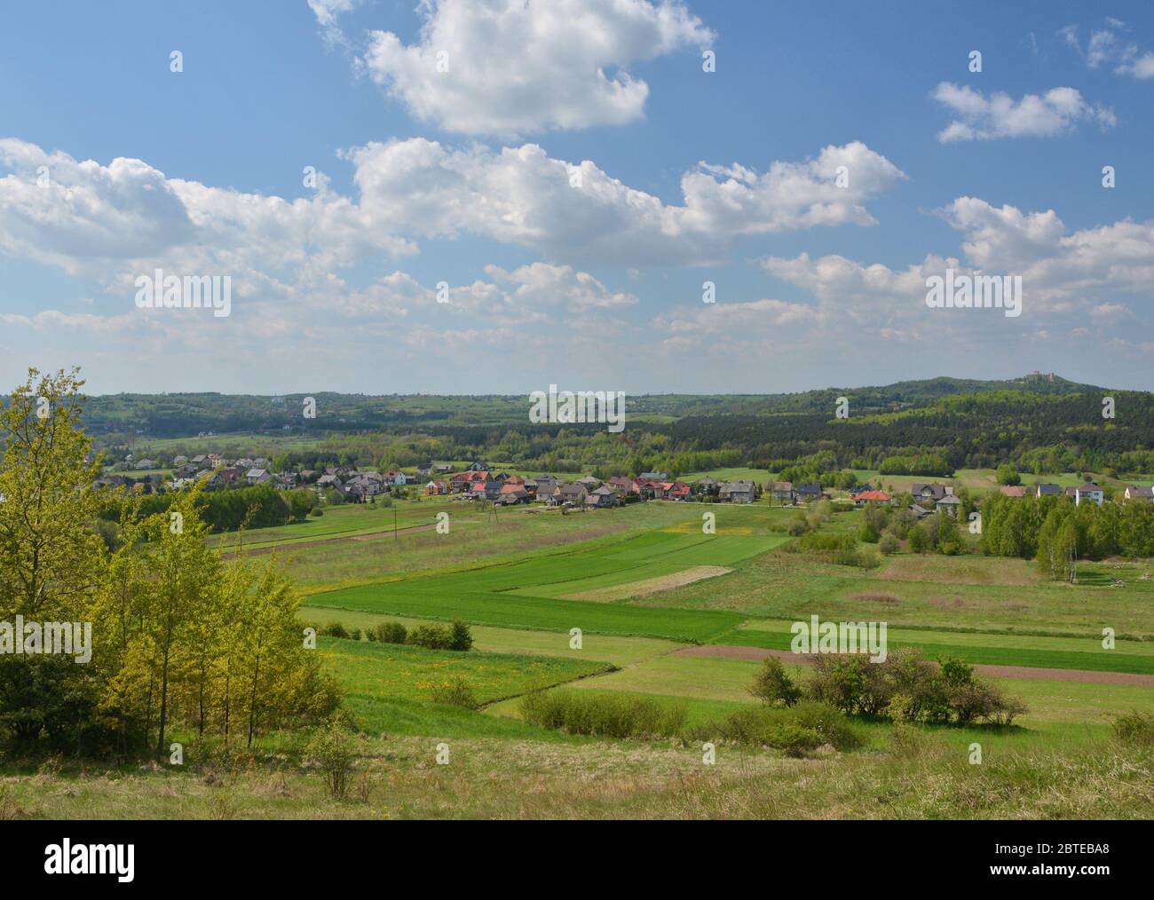 Ländliche Landschaft in Polen, Polnisches Juragebirge. Zalas Dorf Stockfoto