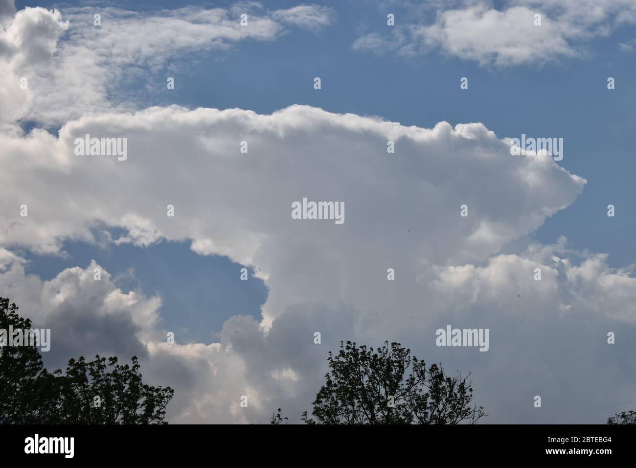 Cumulus Wolke am blauen Himmel Stockfoto