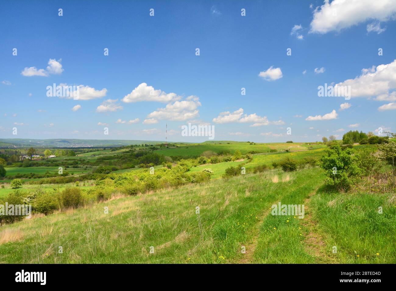 Ländliche Landschaft in Polen. Polnischer Jura Stockfoto