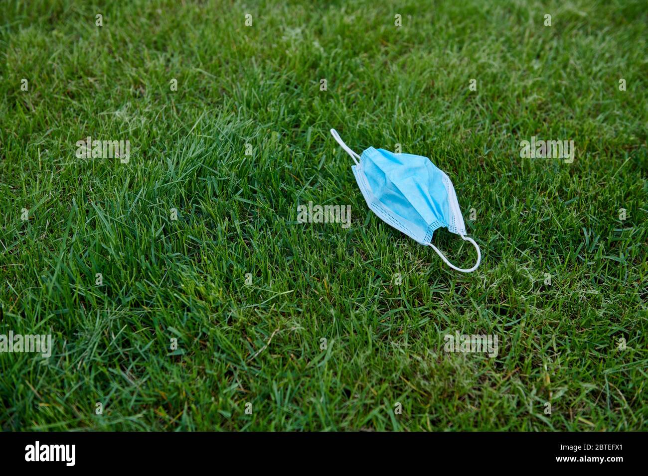 Blaue Gesichtsmaske liegt auf dem grünen Gras. Umweltverschmutzung Konzept Foto. Probleme mit dem pandemischen Coronavirus. Ende der Krankheit. Freier Platz für Text. Stockfoto