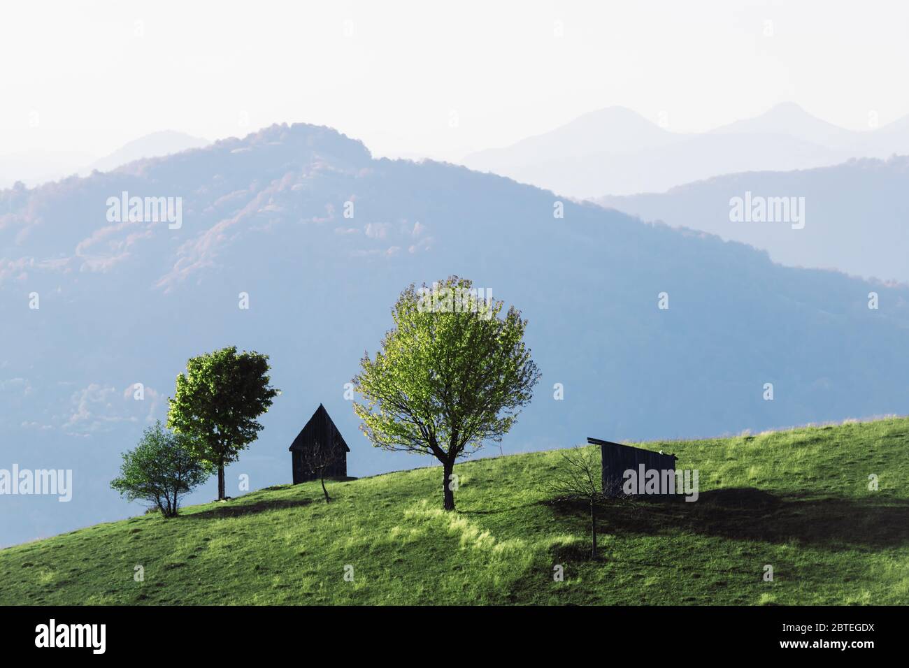 Malerische Sommerwiese mit Holzhaus und grünen Buchen in den Karpaten, Ukraine. Landschaftsfotografie Stockfoto