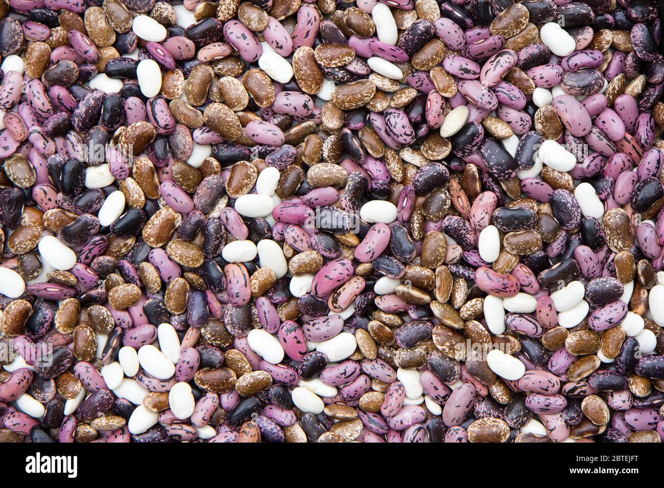 Bunte Bohnen Stockfoto