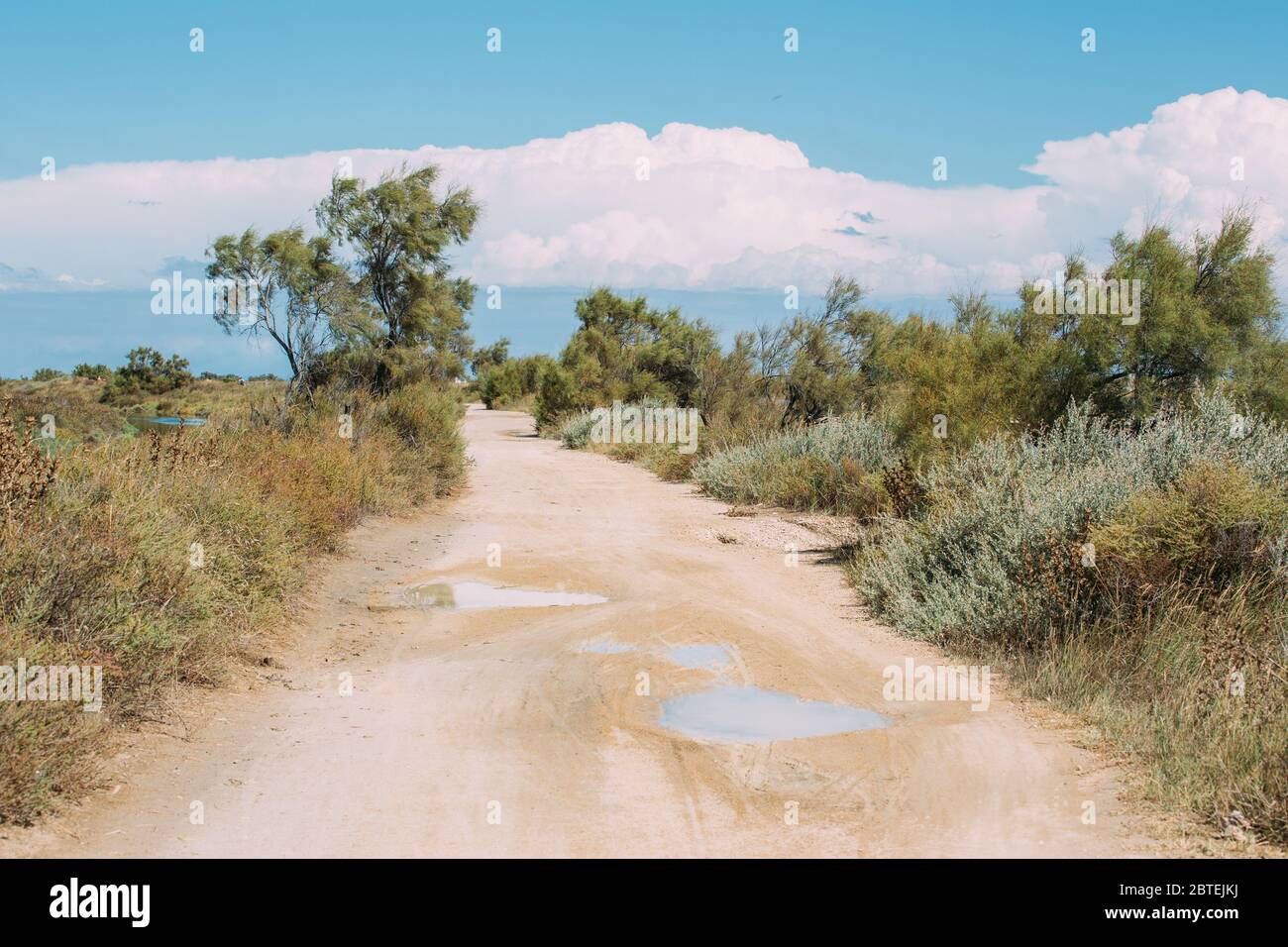 Schönes Naturschutzgebiet Camargue in Frankreich Stockfoto