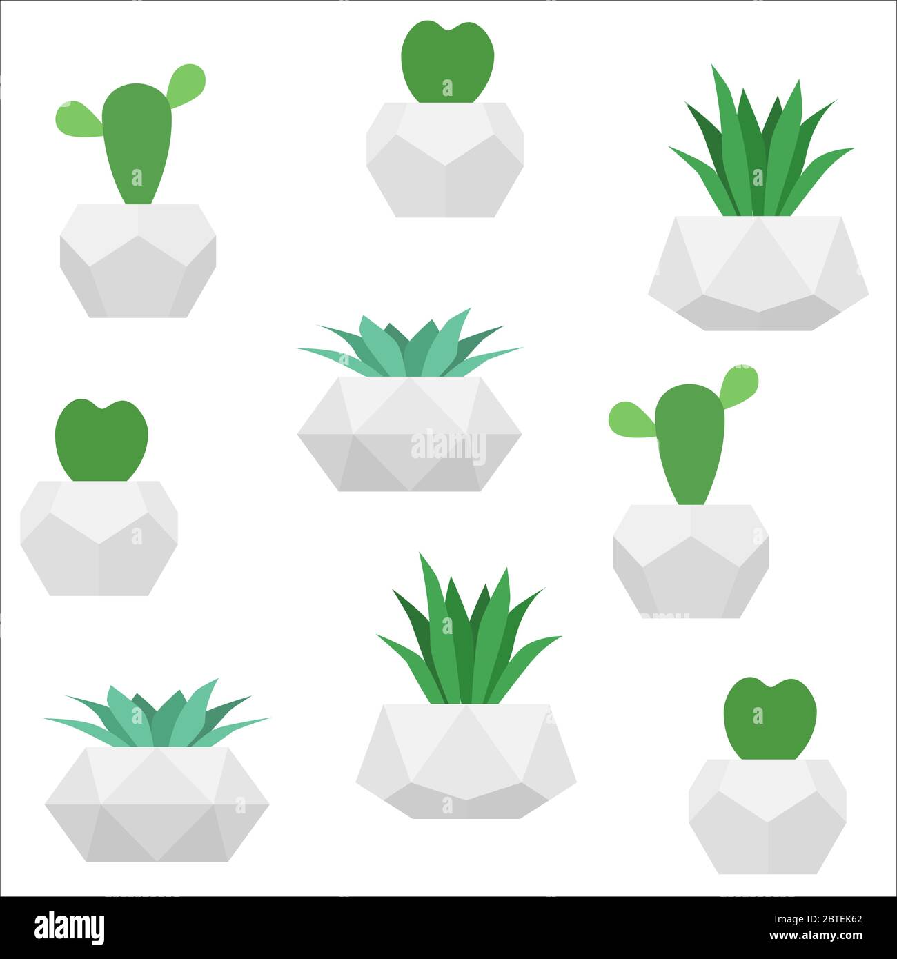 Nahtlose Sukkulenten Muster. Vektor weißer Hintergrund mit Heimpflanzen in geometrischen Betontöpfen. Für Tapetengestaltung Stock Vektor