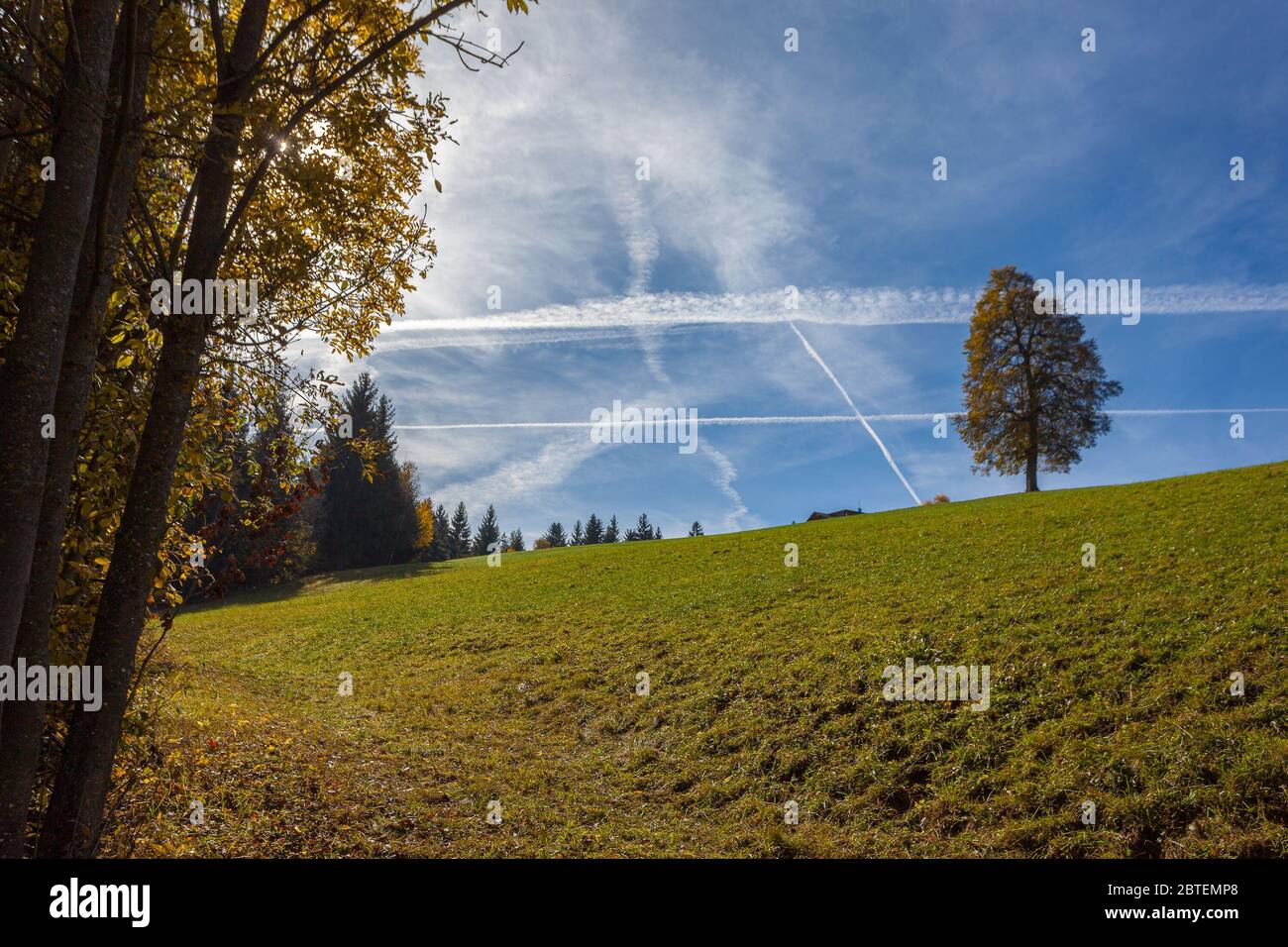 Einsamer Baum, der sich gegen den Himmel ragt, Val di Tires, Italien. Konzept: Herbstliche Dolomitenlandschaften Stockfoto