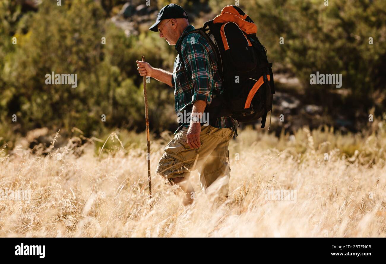 Mann, der über einen grasbewachsenen Bergpfad mit einem Stock geht. Abenteuerlicher Mann auf einer Wandertour in der Natur. Stockfoto