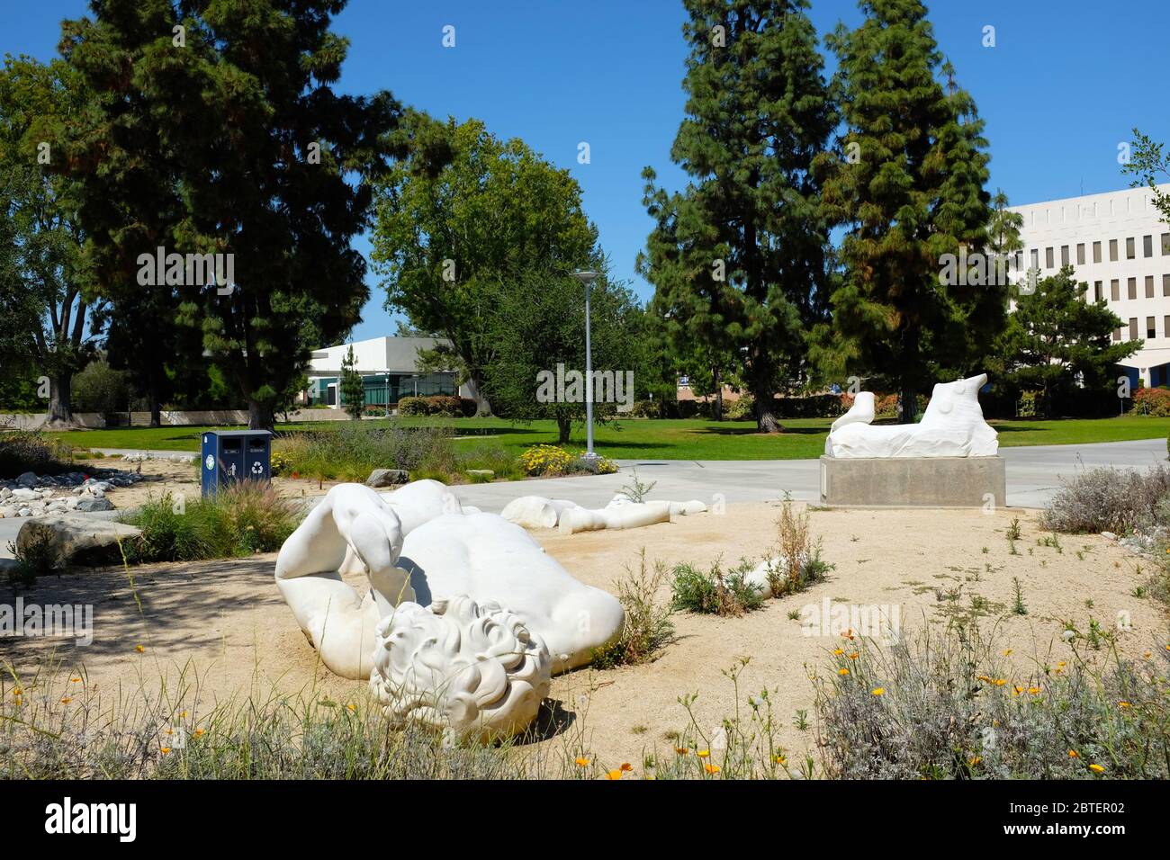 FULLERTON CALIFORNIA - 22. MAI 2020: Gefallene David Statue auf dem Campus der California State University Fullerton. Gespendet von Forest Lawn Memorial Park A Stockfoto