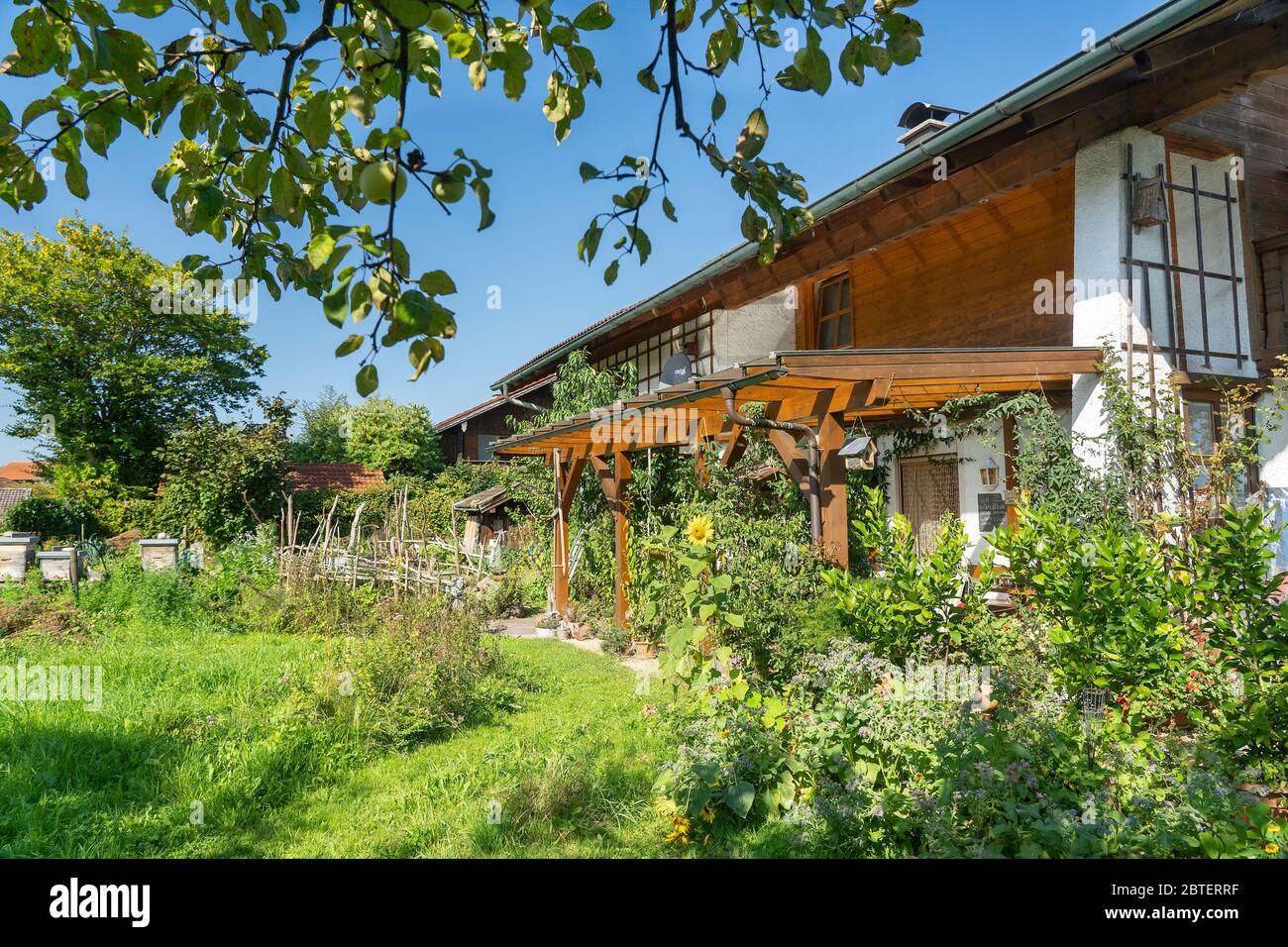 ökologisch-biologisch 'wilder' Hausgarten - Natur im Hausgarten Stockfoto
