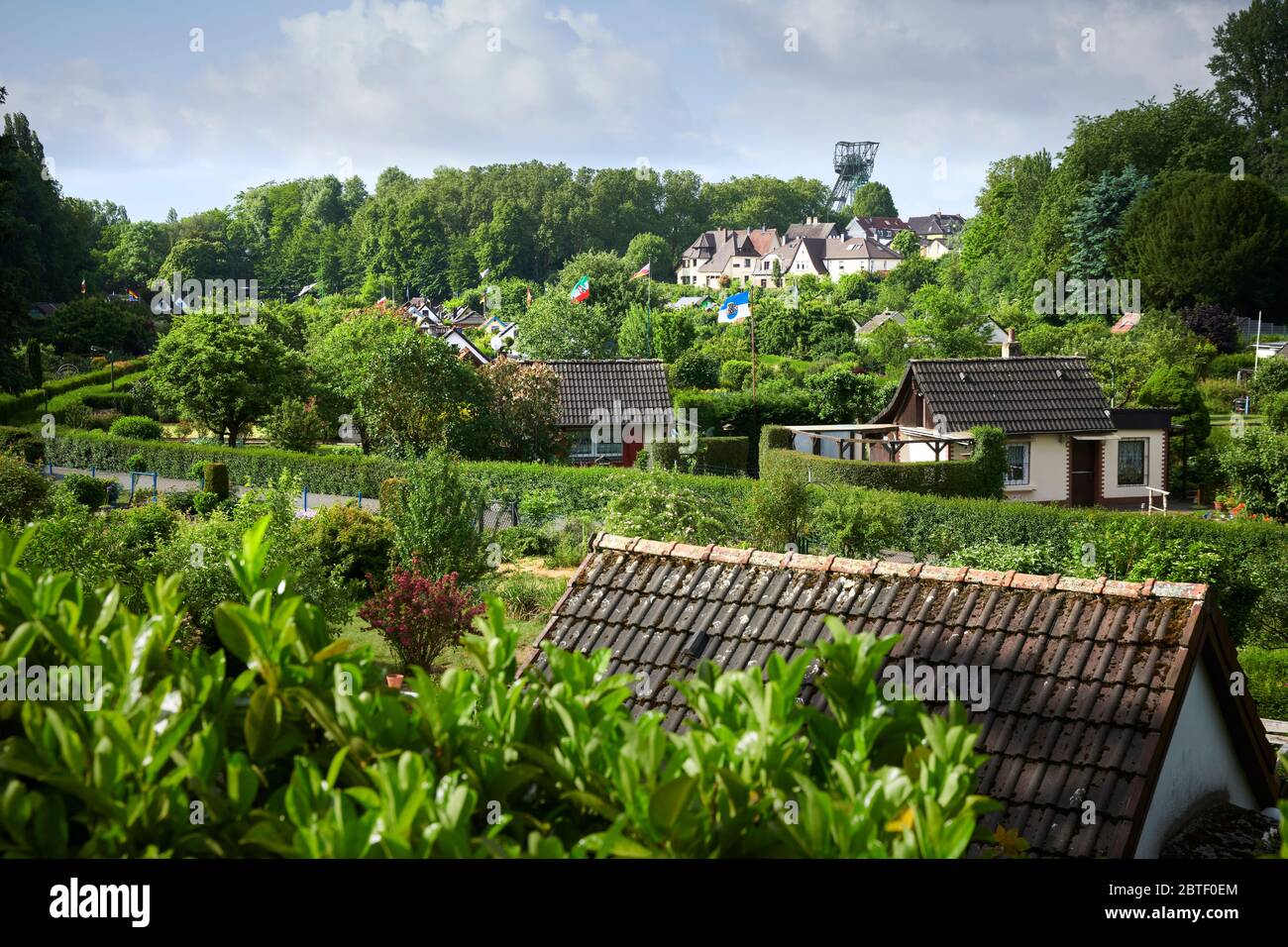 Kleingartenanlage Carolinenglueck im Schatten des Förderturms der ehemaligen Zeche Carolinenglueck in Bochum Hamme Stockfoto