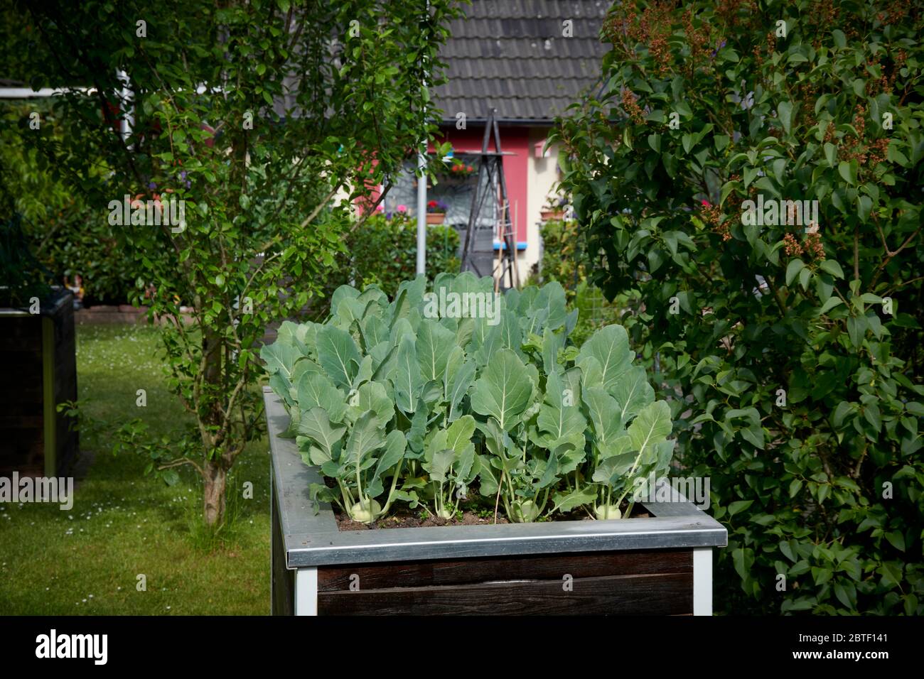 Kleingartenanlage Carolinenglueck im Schatten des Förderturms der ehemaligen Zeche Carolinenglueck in Bochum Hamme Stockfoto