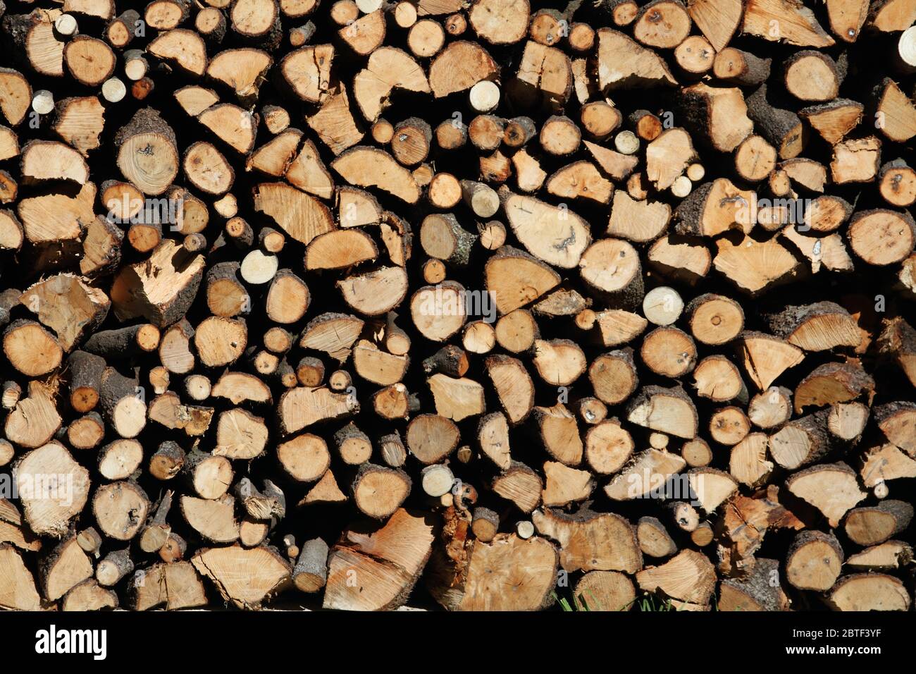 Stapel von gehacktem Feuerholz und überfüllt Stockfoto