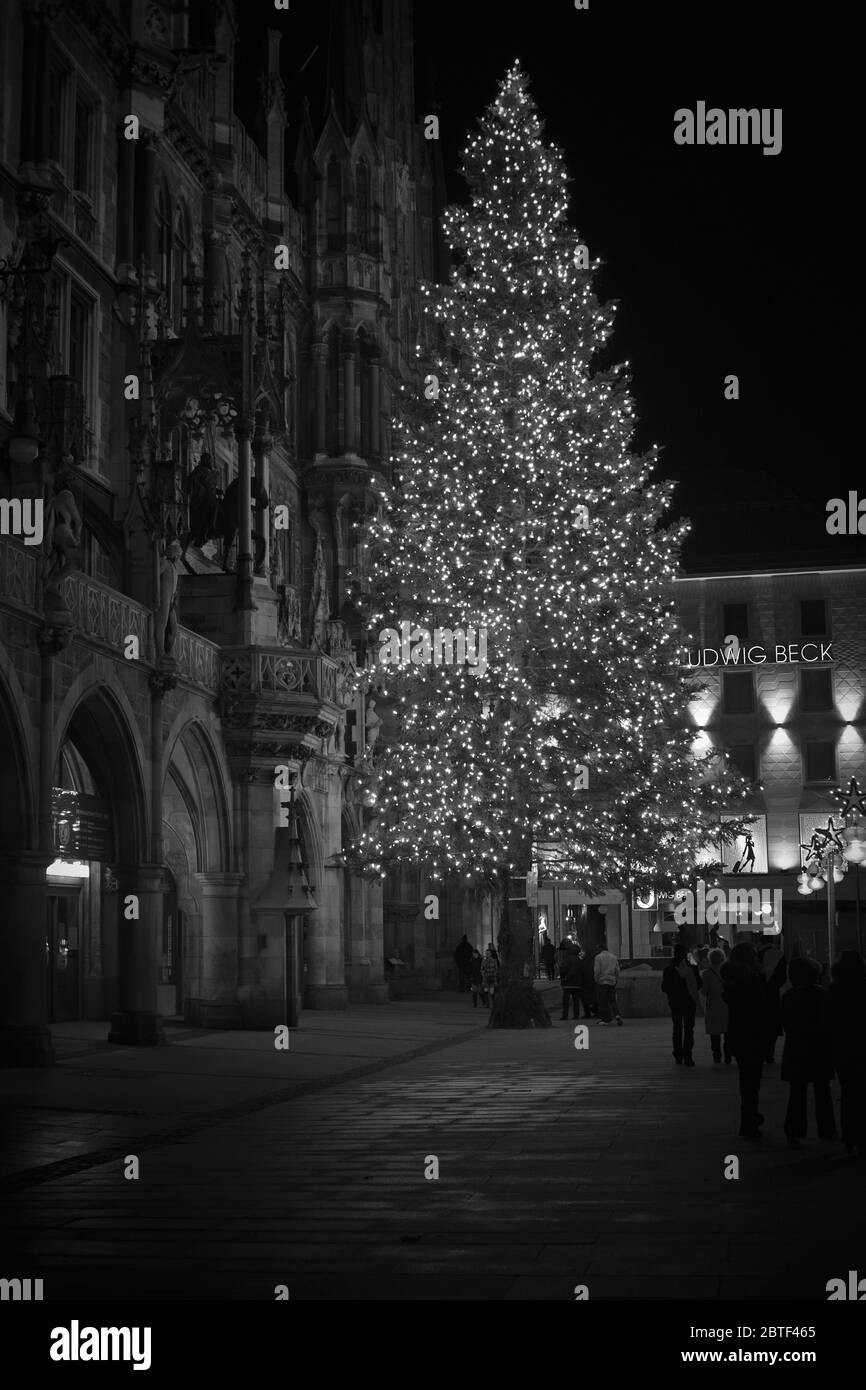 Weihnachtsbaum in der Nacht mit Lichtern. Marienplatz in München, Deutschland. (Schwarz und Weiß) Stockfoto