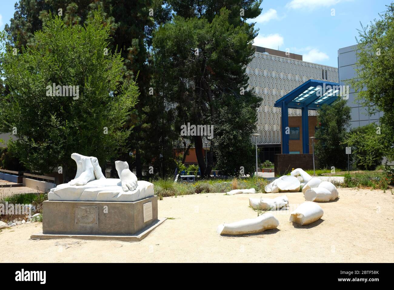 FULLERTON CALIFORNIA - 23. MAI 2020: Gefallene David Statue auf dem Campus der California State University Fullerton. Gespendet von Forest Lawn Memorial Park A Stockfoto