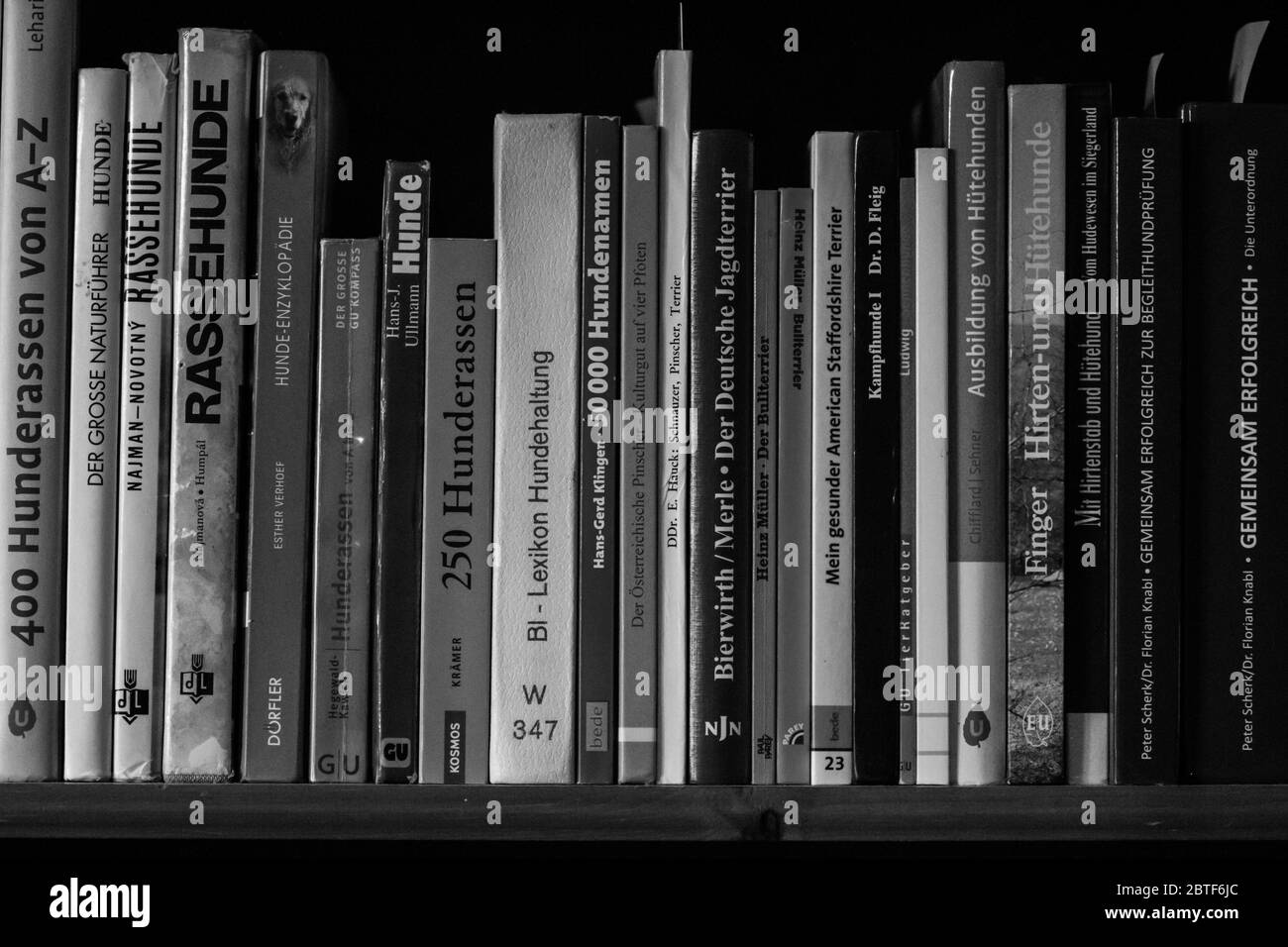 Schwarz-weiß-Fotografie eines Bücherregals Stockfoto