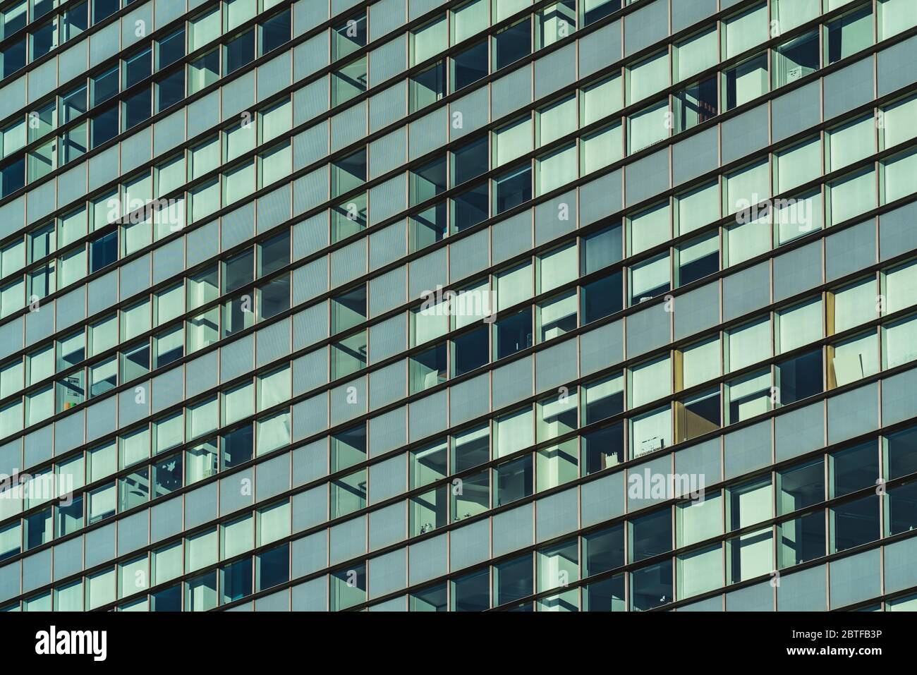 Reihen von verglasten Fenstern der Fassade eines modernen Bürogebäudes Stockfoto