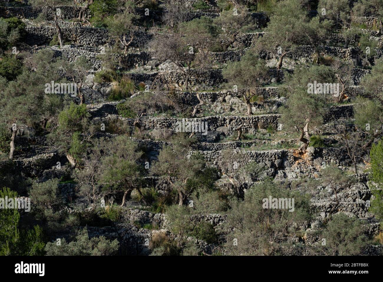 Rotes de Caimari, Gemeinde Selva, Brunnen von kulturellem Interesse, Mallorca, Balearen, Spanien. Stockfoto