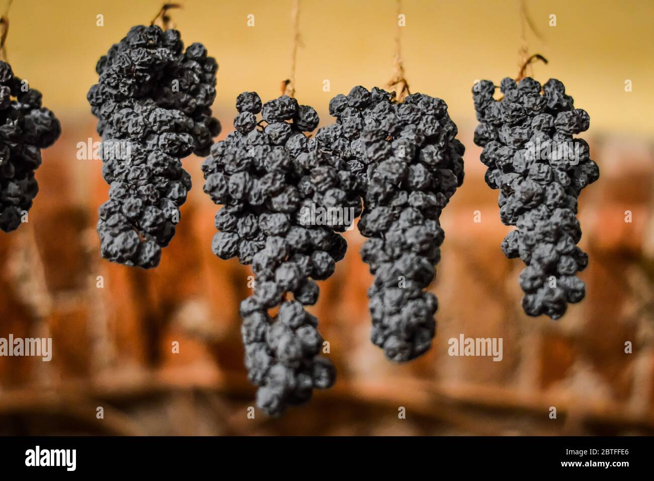 Trauben dürfen trocknen, traditionell auf Strohmatten, um italienischen Amarone Wein zu machen. Stockfoto