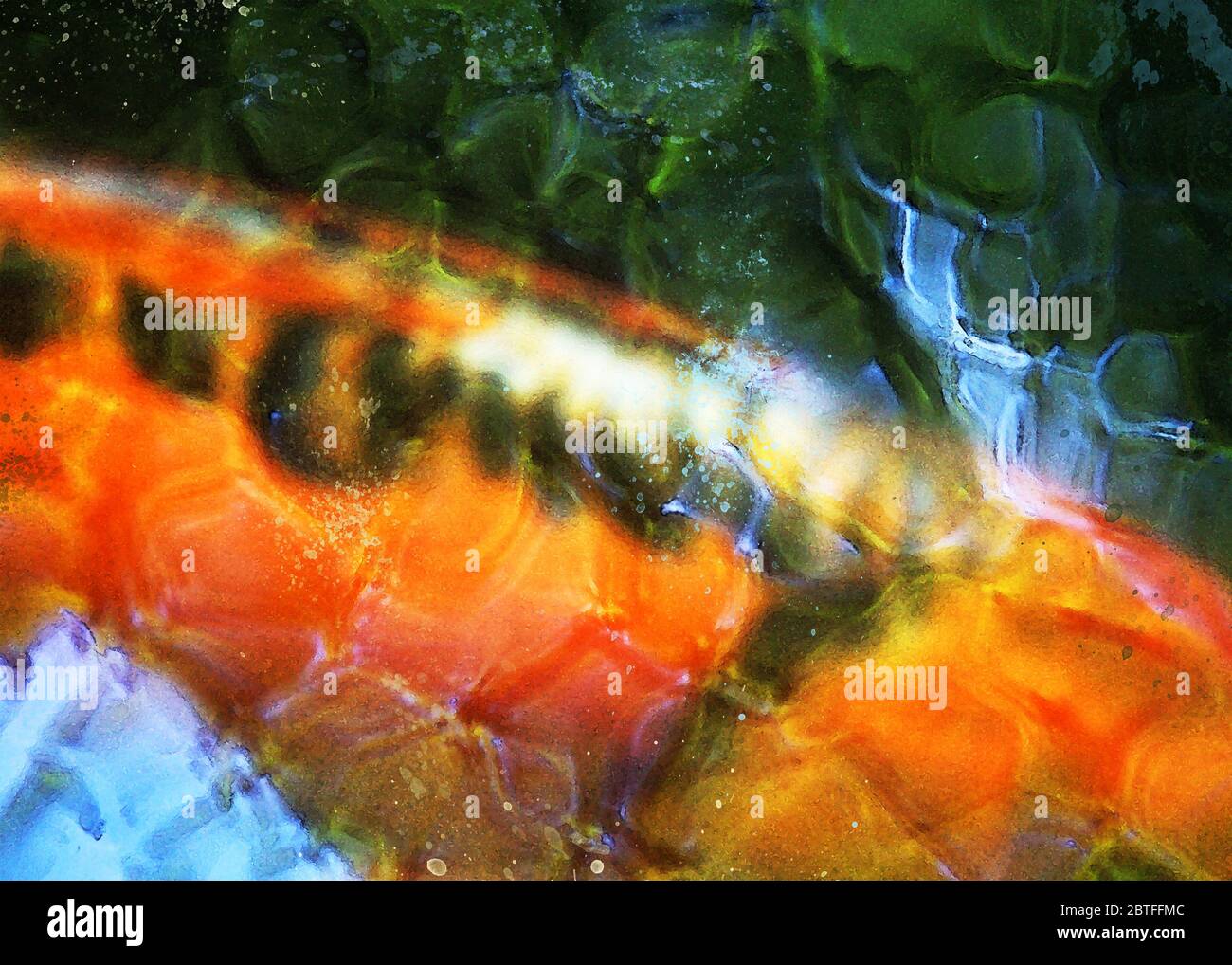 Ein abstraktes Bild eines Koi-Fisches. Stockfoto