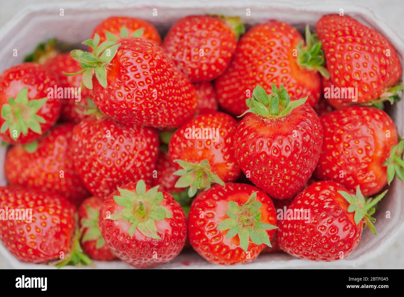 Blick von oben auf Erdbeeren in einer Kartonschachtel Stockfoto