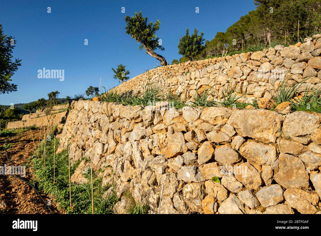 Betische Kordillere Stockfotos Und Bilder Kaufen Alamy