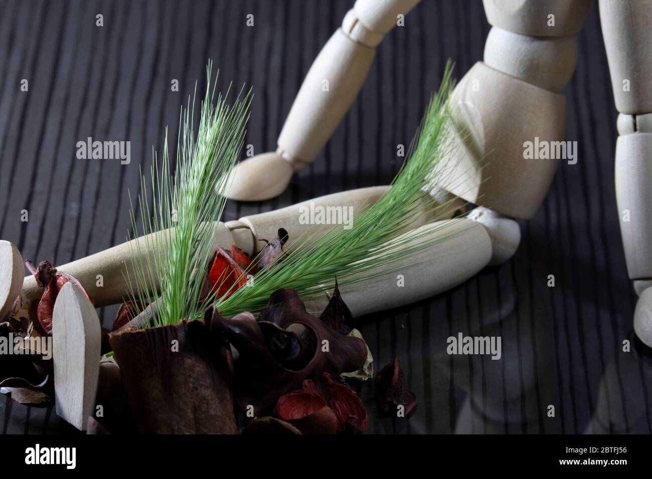 Frischer Getreidebrunk an den Beinen einer Holzpuppe, mit vielen getrockneten Frühlingsfrüchten Stockfoto