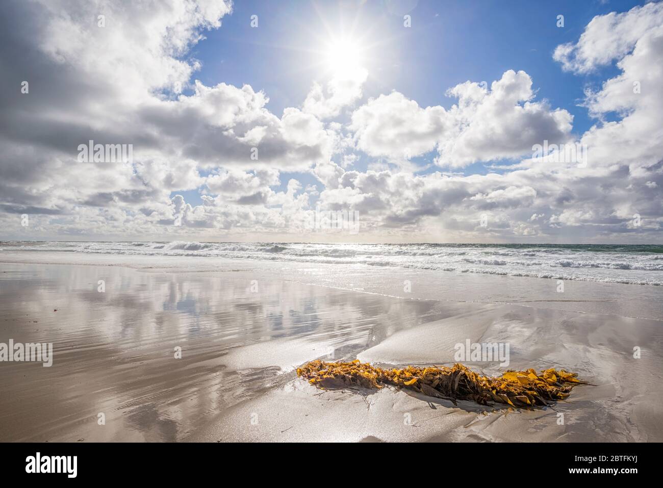 Küstenlandschaft an einem Winternachmittag am Marine Street Beach. La Jolla, Kalifornien, USA. Stockfoto