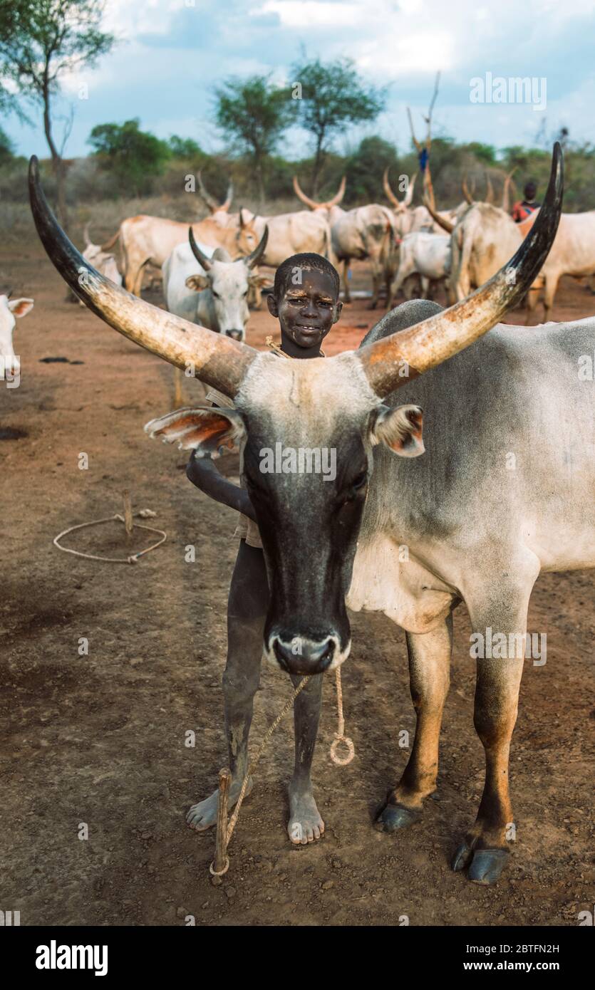 MUNDARI STAMM, SÜDSUDAN - 11. MÄRZ 2020: Junge aus Mundari Tribe lächelnd und mit Blick auf die Kamera, während sie hinter Ankole Watusi Kuh gegen Herde steht Stockfoto