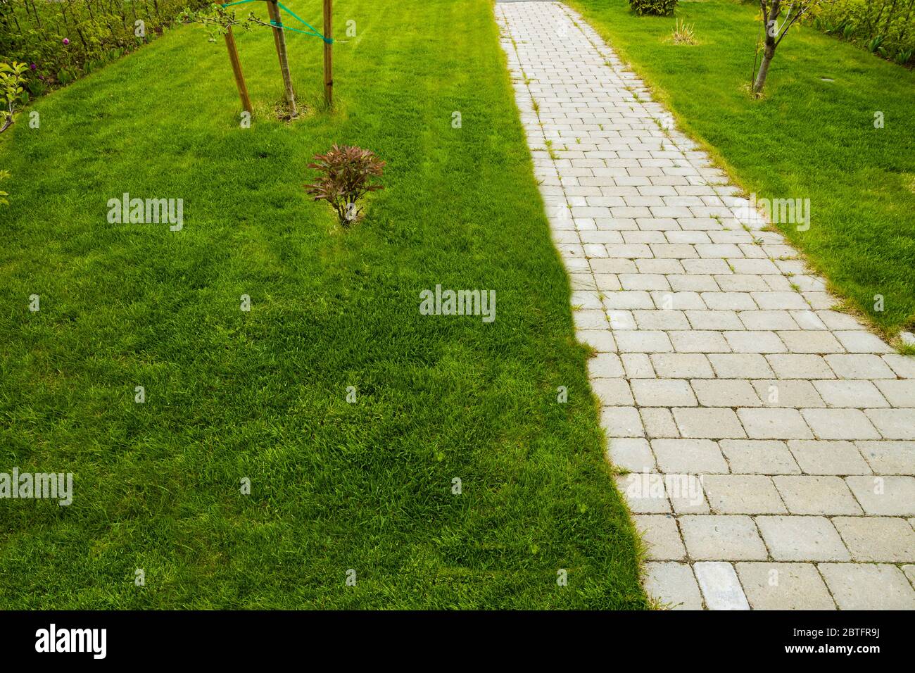 Schöne Landschaft Blick auf den privaten Garten. Sommer Gras Rasen, Pfingstrosen, Apfelbaum, Kirschbaum. Wunderschöne Sommer Hintergründe. Stockfoto