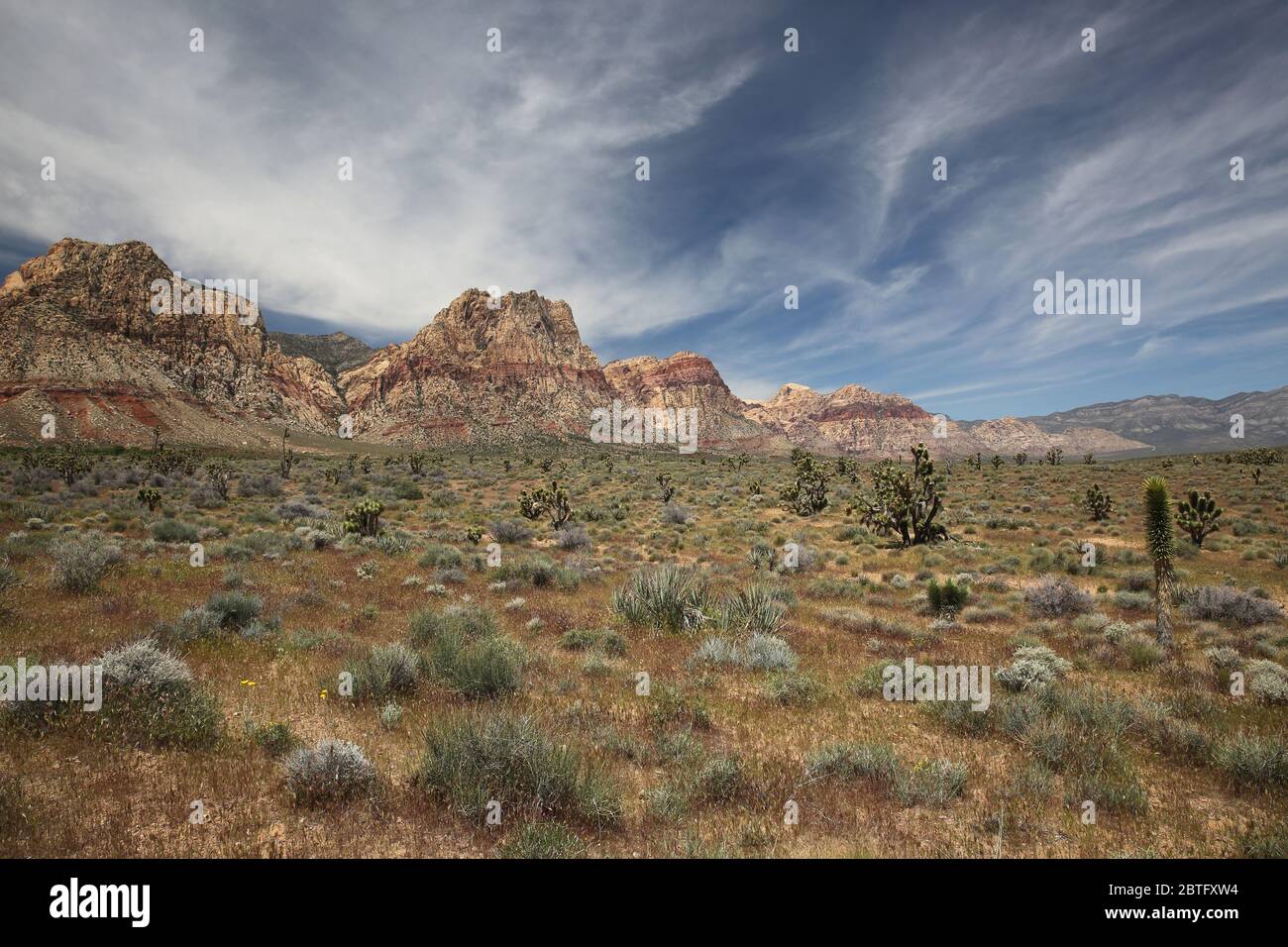Landschaft im Red Rock Canyon National Conservation Area, Nevada, USA Stockfoto