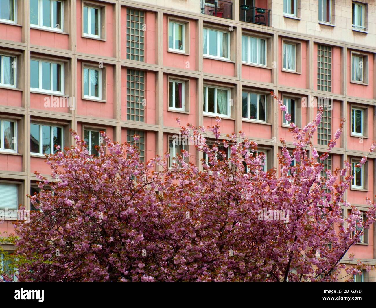 Spring Blossom, Avenue Foch, Le Havre, Arch. Perret. Stockfoto