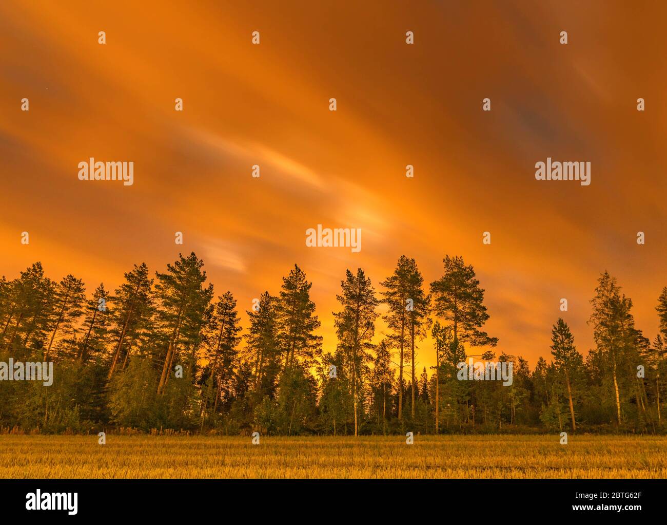 Lange Belichtung Nachtfoto von Wald und dunklen schweren Wolken auf der schwedischen Landseite Stockfoto