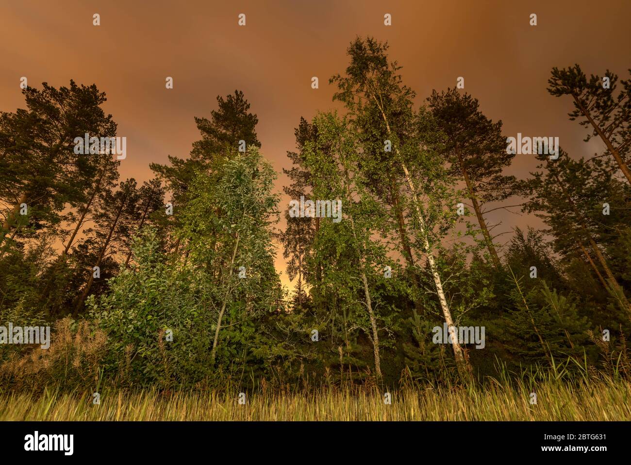 Lange Belichtung Nachtfoto von Wald, Erntefeld und dunklen schweren Wolken auf der schwedischen Landseite Stockfoto