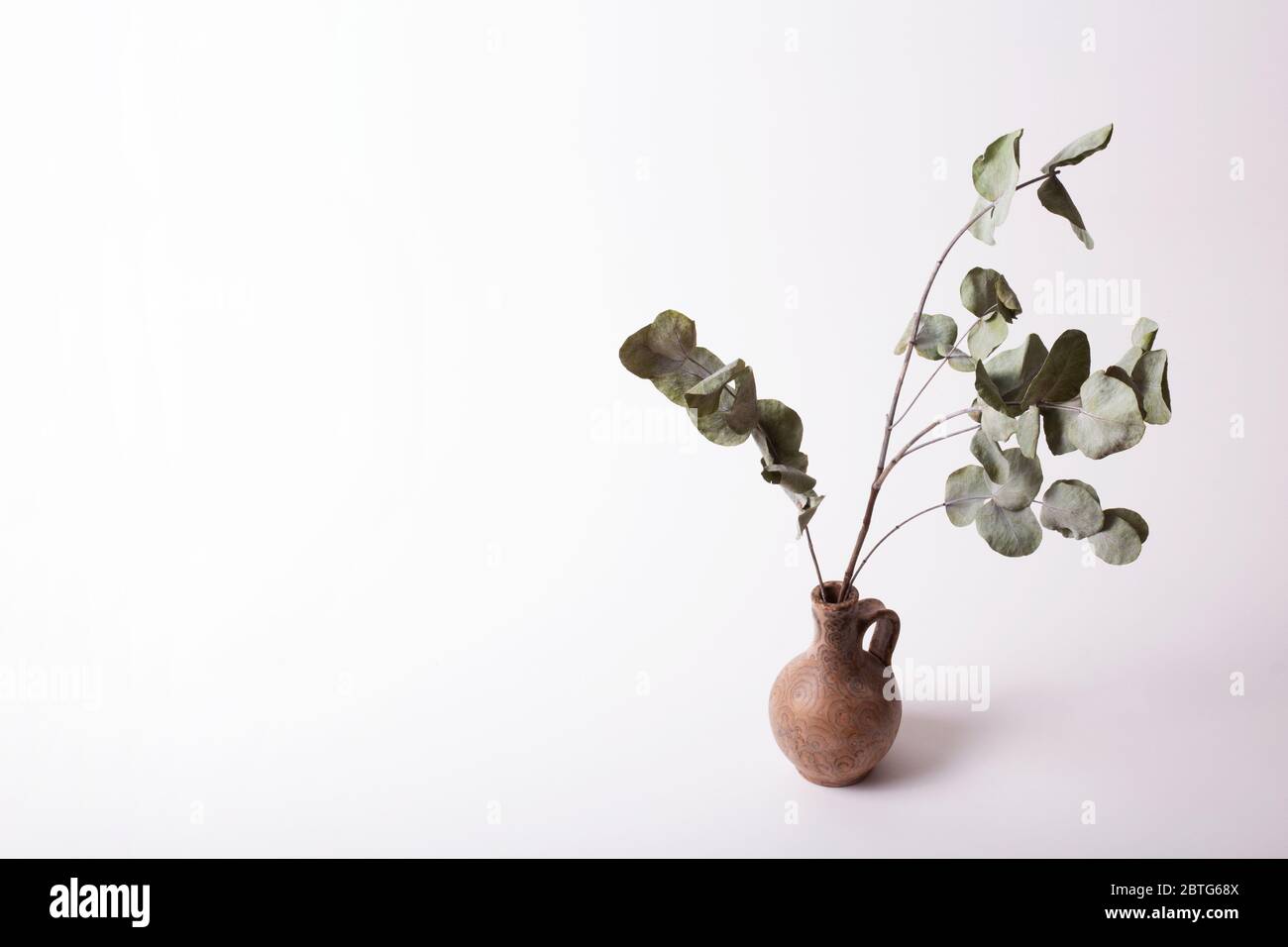 Inspiration für den Lebensstil. Stock Foto mit leerem Platz für Text auf der linken Seite. Vase und trockene Eukalyptus Populus Zweige isoliert auf weißem Hintergrund Stockfoto