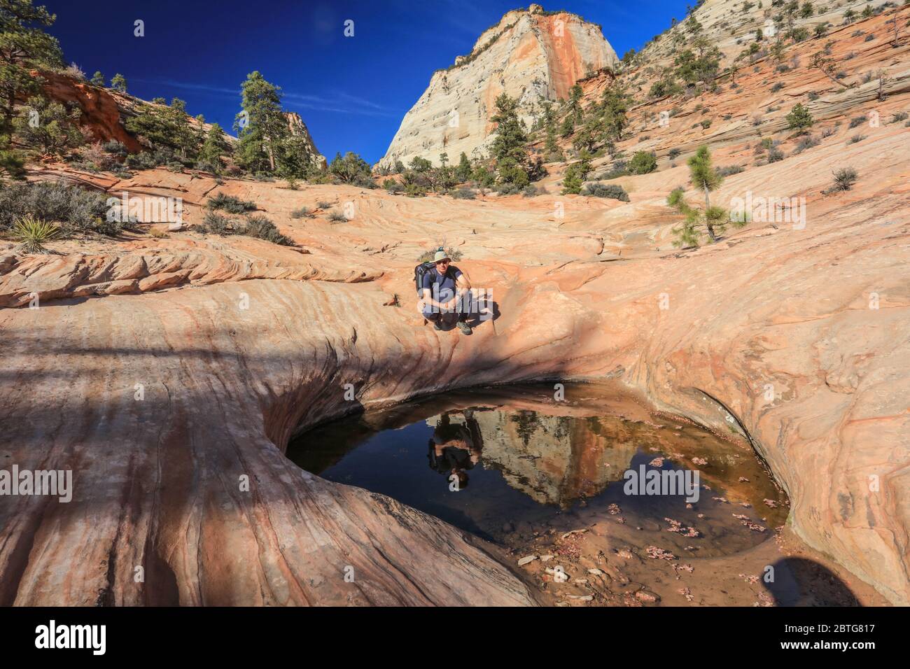 Viele Pools Trail im östlichen Teil des Zion National Park. Spiegelung des älteren männlichen Wanderers in einem Schlagloch voller Wasser. Stockfoto