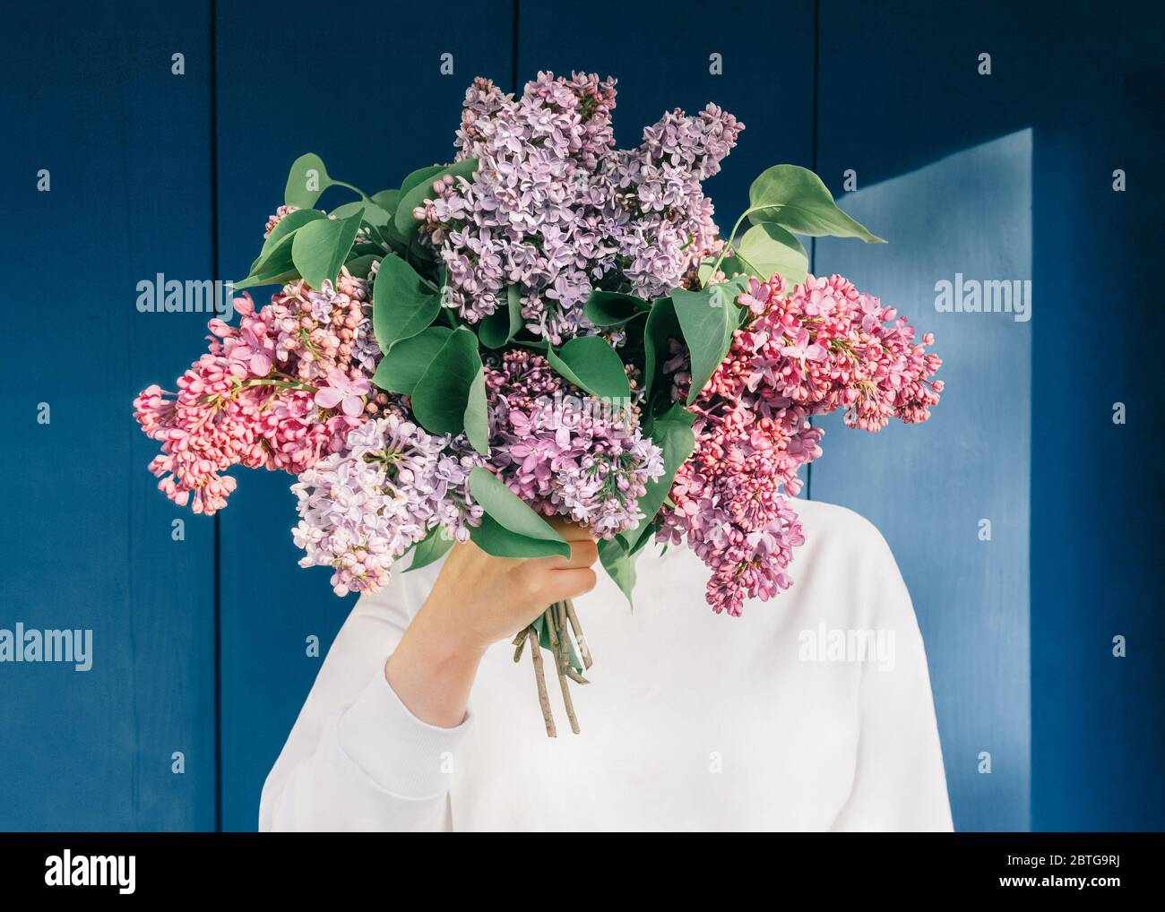 Blumenstrauß der Flieder Foto mit Kopierraum Mädchen in weißem Hemd hält einen üppigen Blumenstrauß der Flieder auf blauem Wandhintergrund Stockfoto
