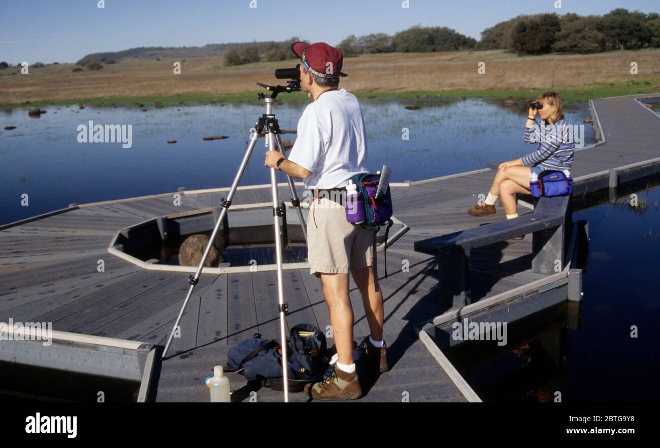 Vernal Pool Promenade, Santa Rosa Plateau Ecological Preserve, Kalifornien Stockfoto