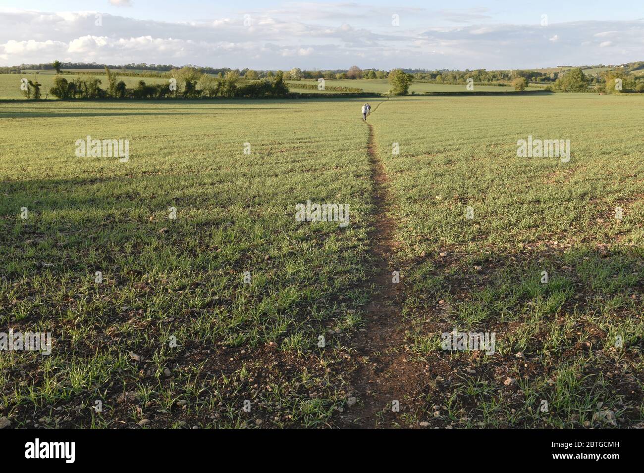 Fußweg durch die Somerset-Landschaft Stockfoto