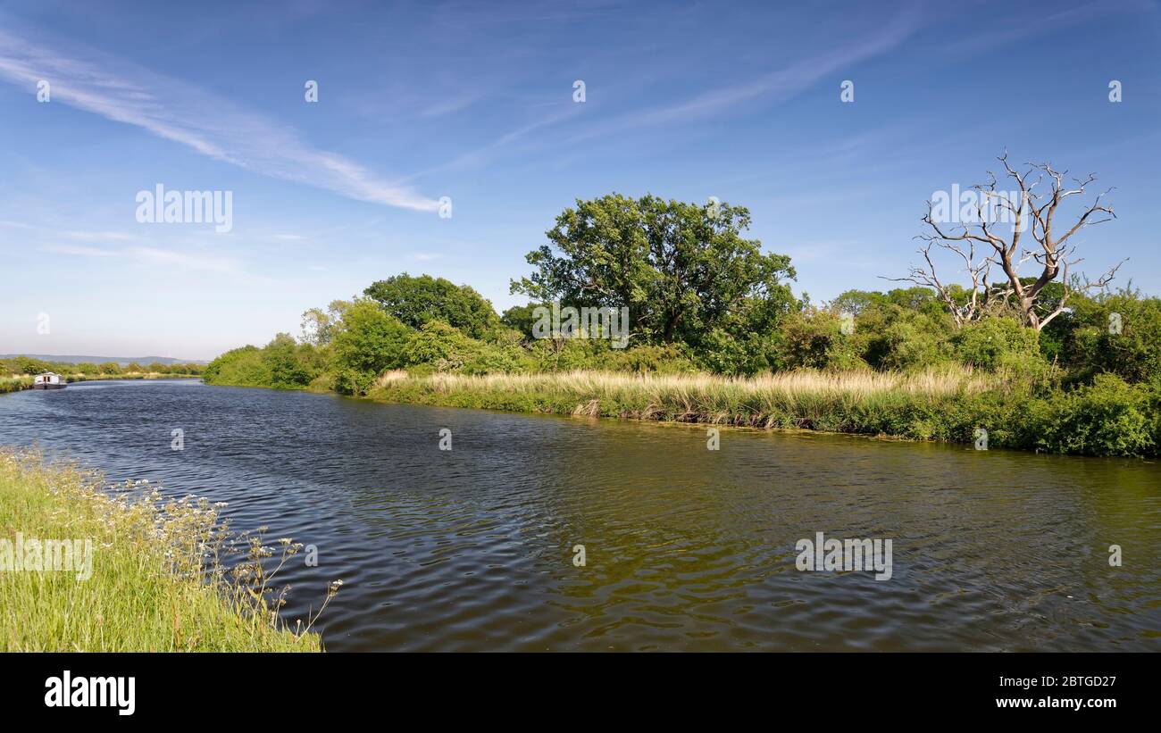Gloucester und Sharpness Canal in der Nähe von Purton, Gloucestershire, Großbritannien Stockfoto