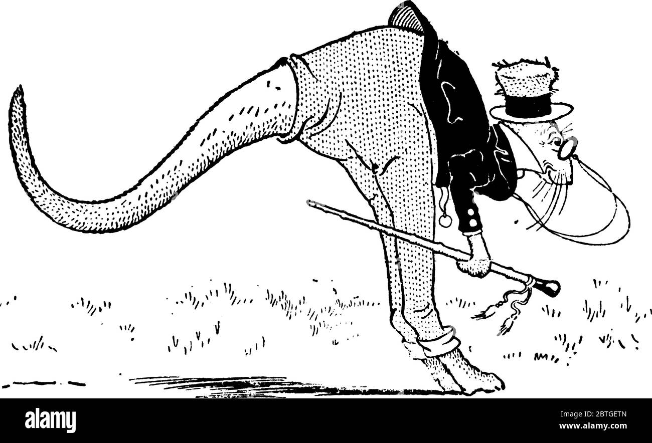 Ein Känguru, das wegspringt. Kängurus sind Tiere Australiens, mit Beutel, kleinem Kopf, großen und kräftigen Hinterbeinen, riesigem Schwanz, kurzen Vorderbeinen und IS Stock Vektor
